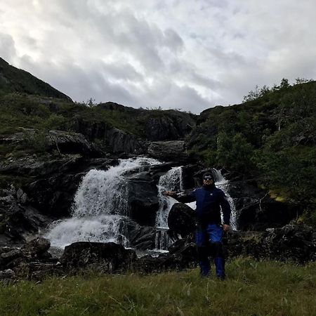 Gullesfjord Camping 外观 照片